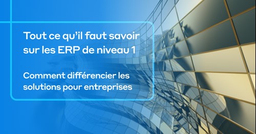 img_MS_Tier1 ERP_fr.jpg